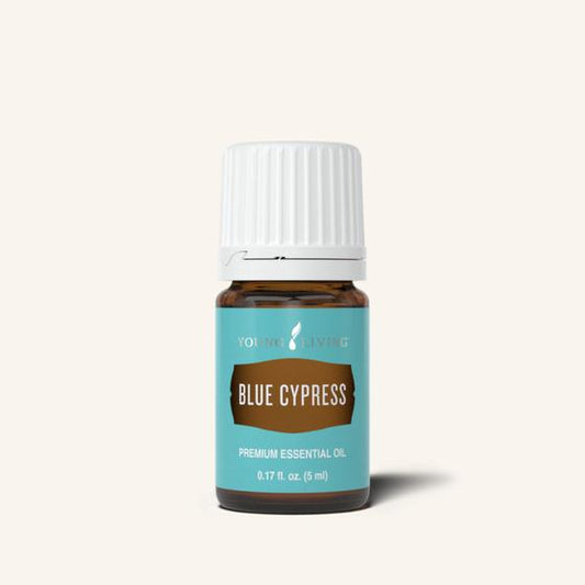 Blue Cypress Essential Oil