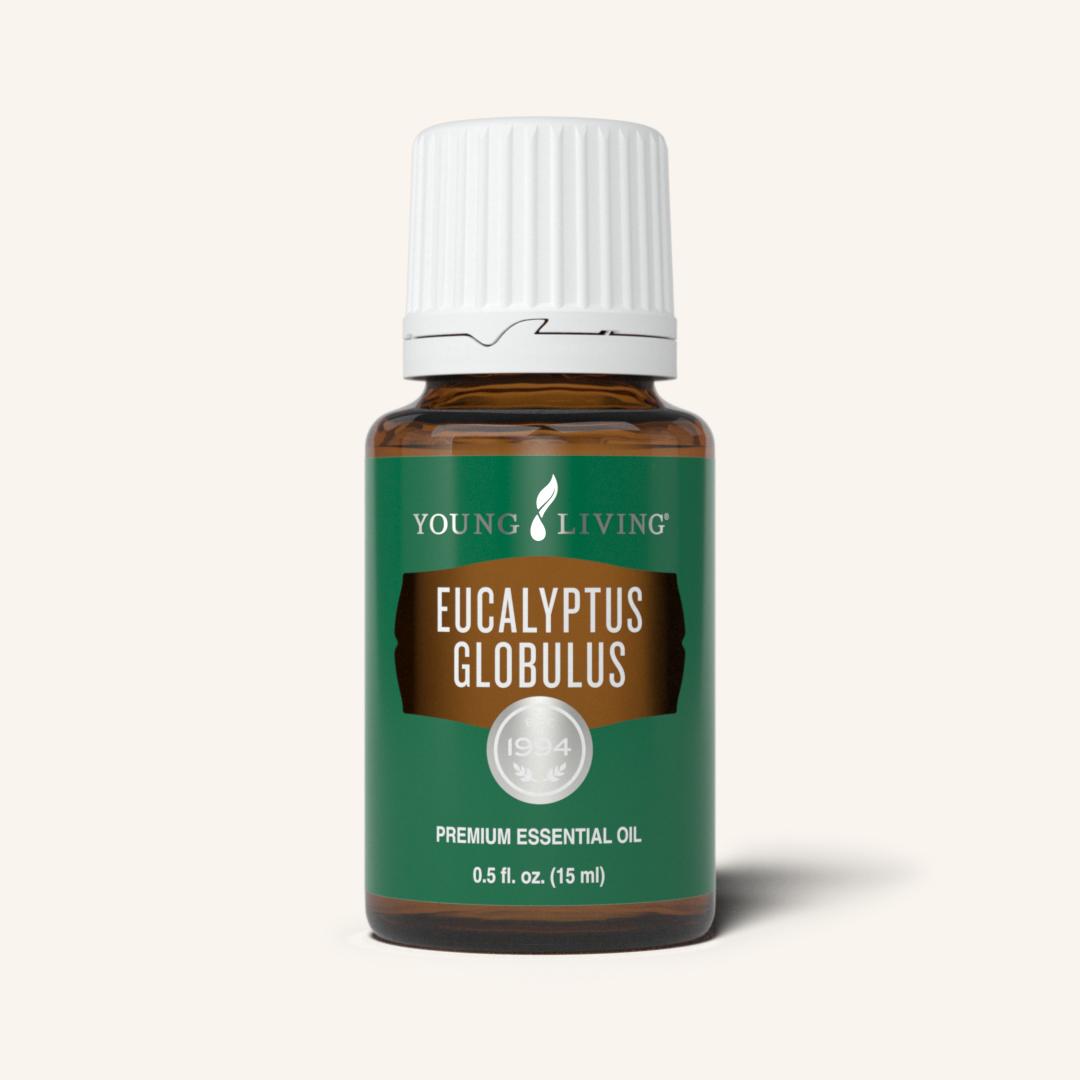 Eucalyptus Globulus Essential Oil