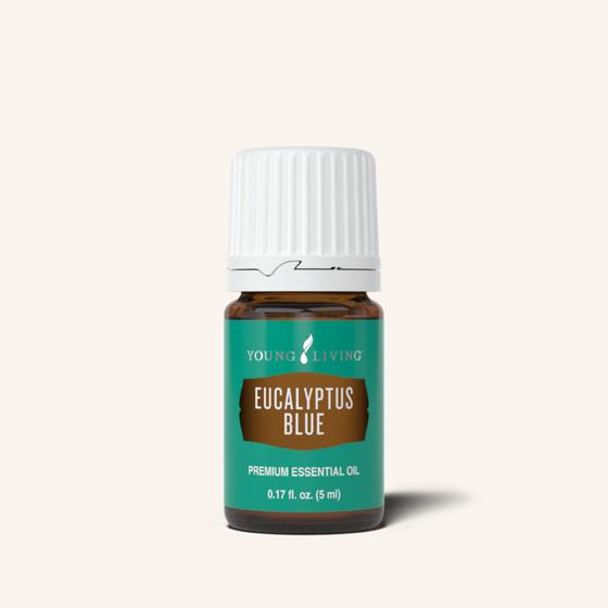 Eucalyptus Blue Essential Oil