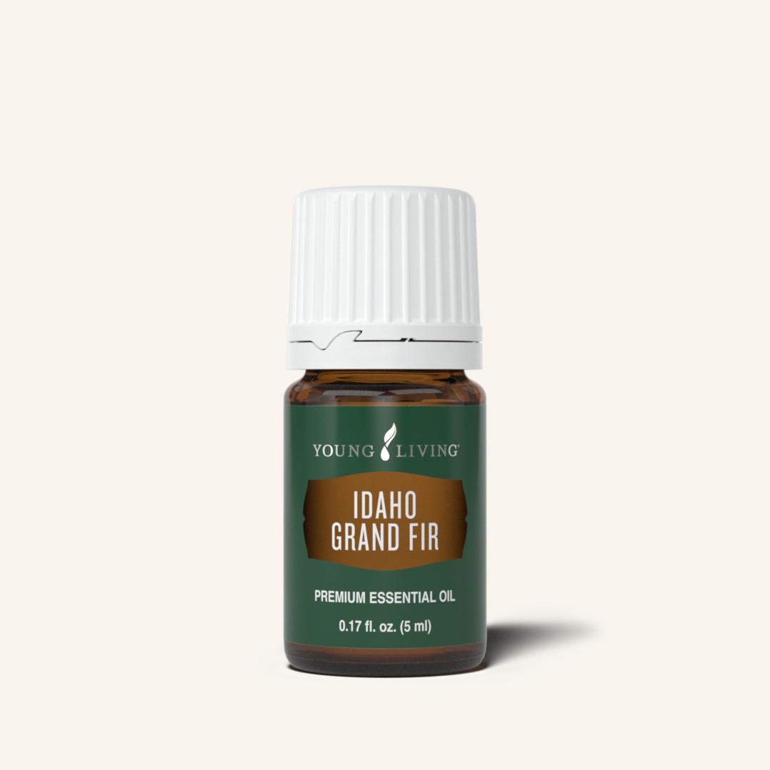 Idaho Grand Fir Essential Oil