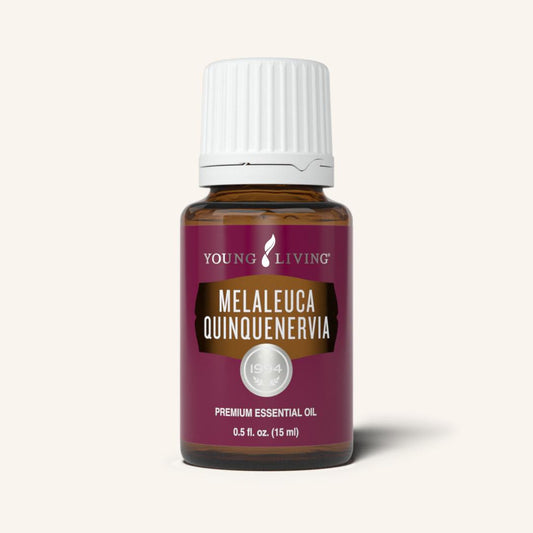 Melaleuca Quinquenervia Essential Oil