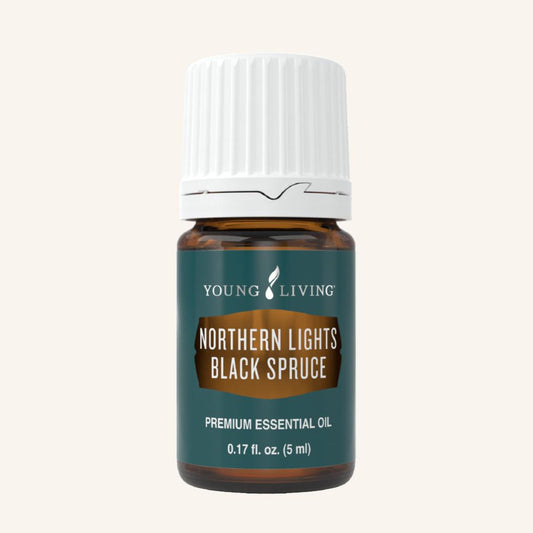 Northern Lights Black Spruce Essential Oil 5 ml