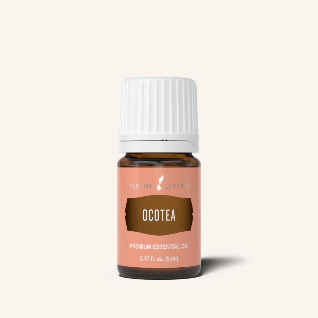 Ocotea Essential Oil