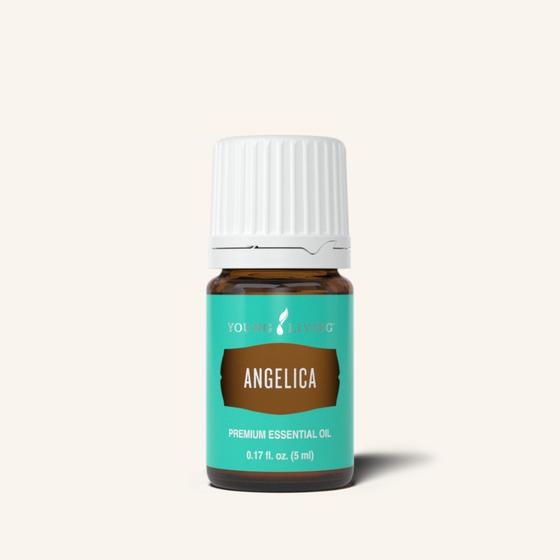 Angelica Essential Oil