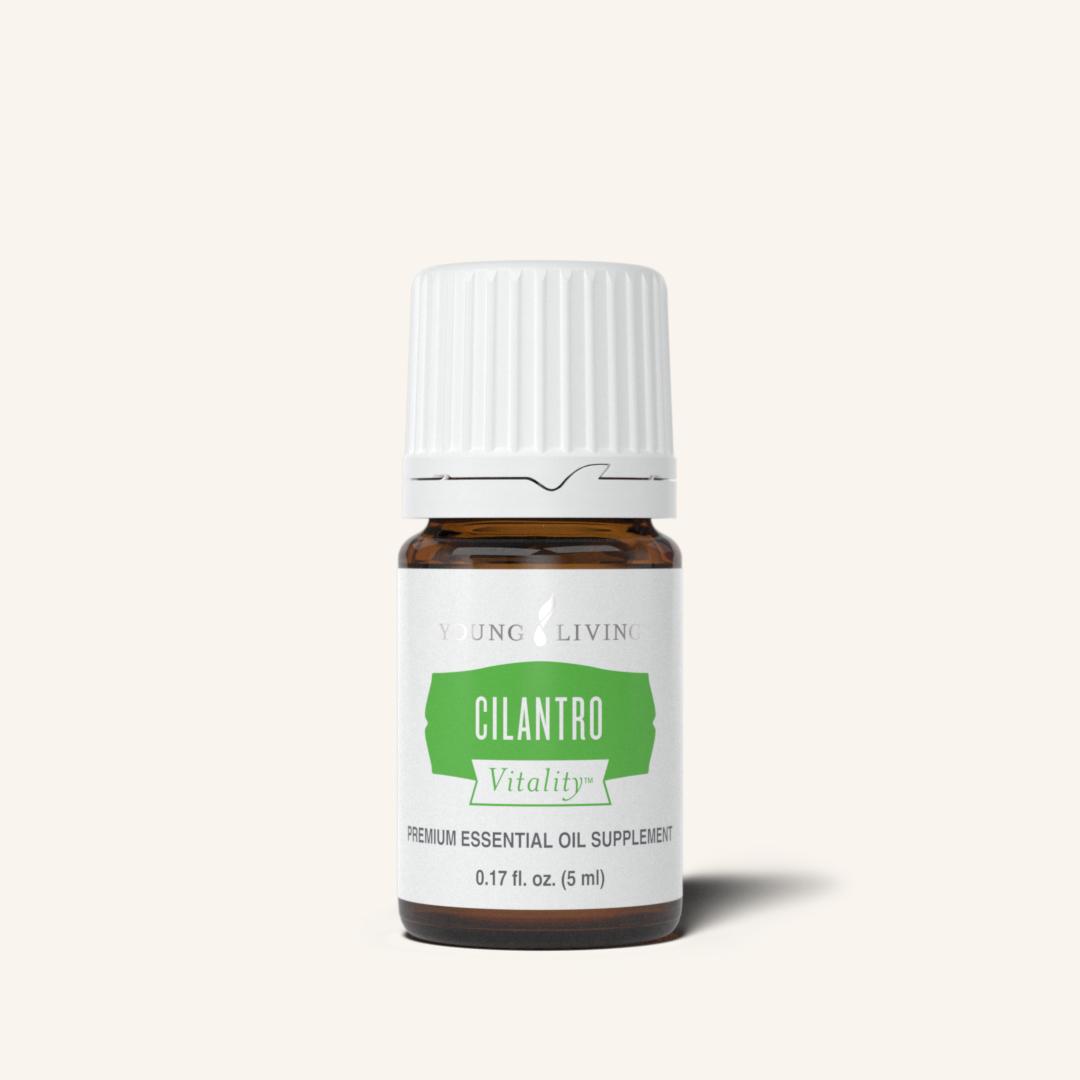 Cilantro Vitality™